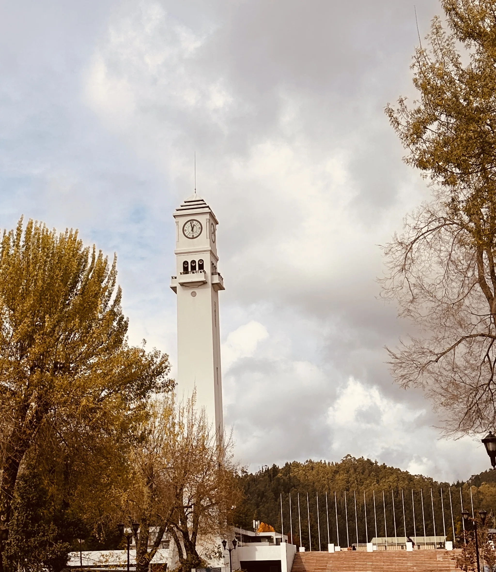 Img 7539 (1)