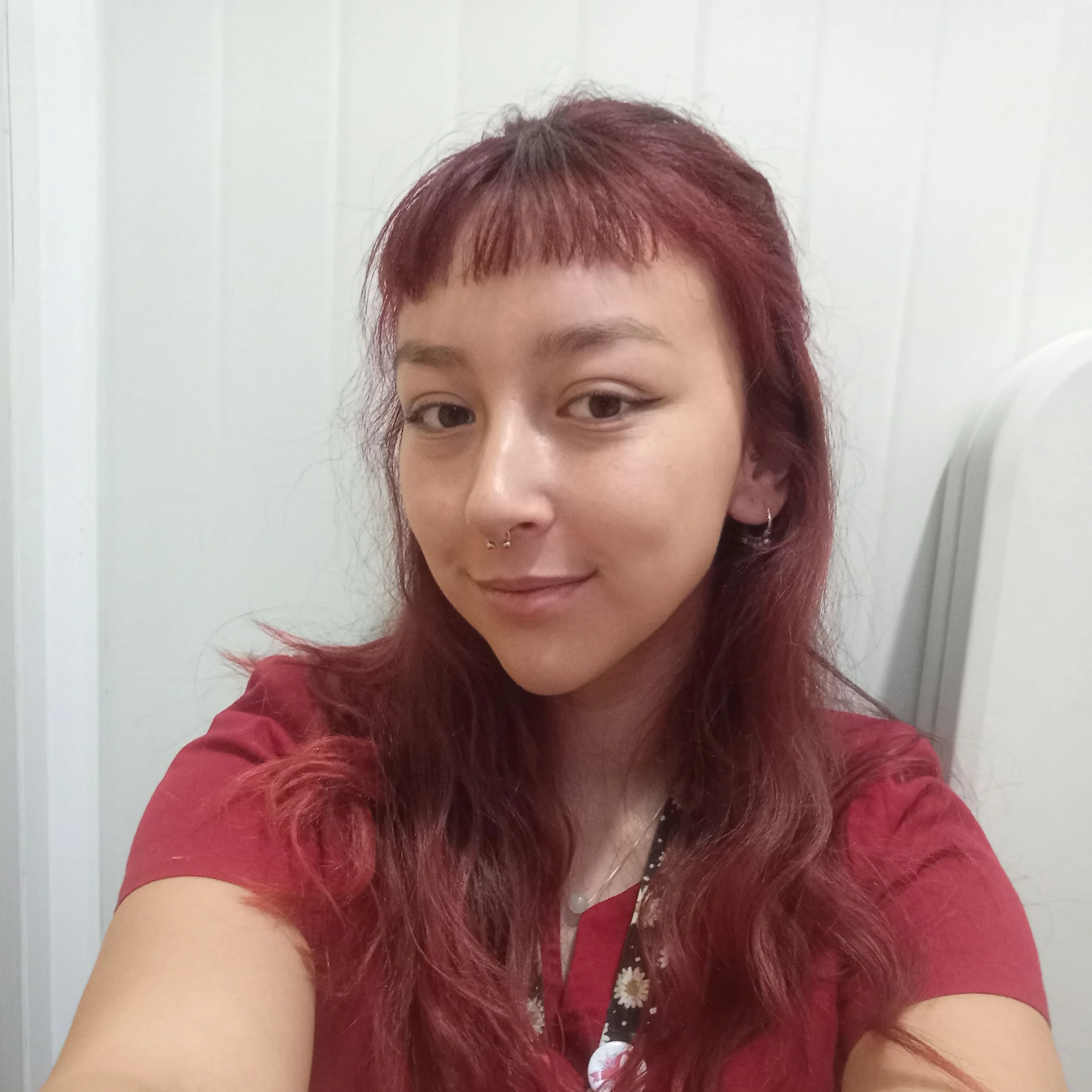 17568566540461