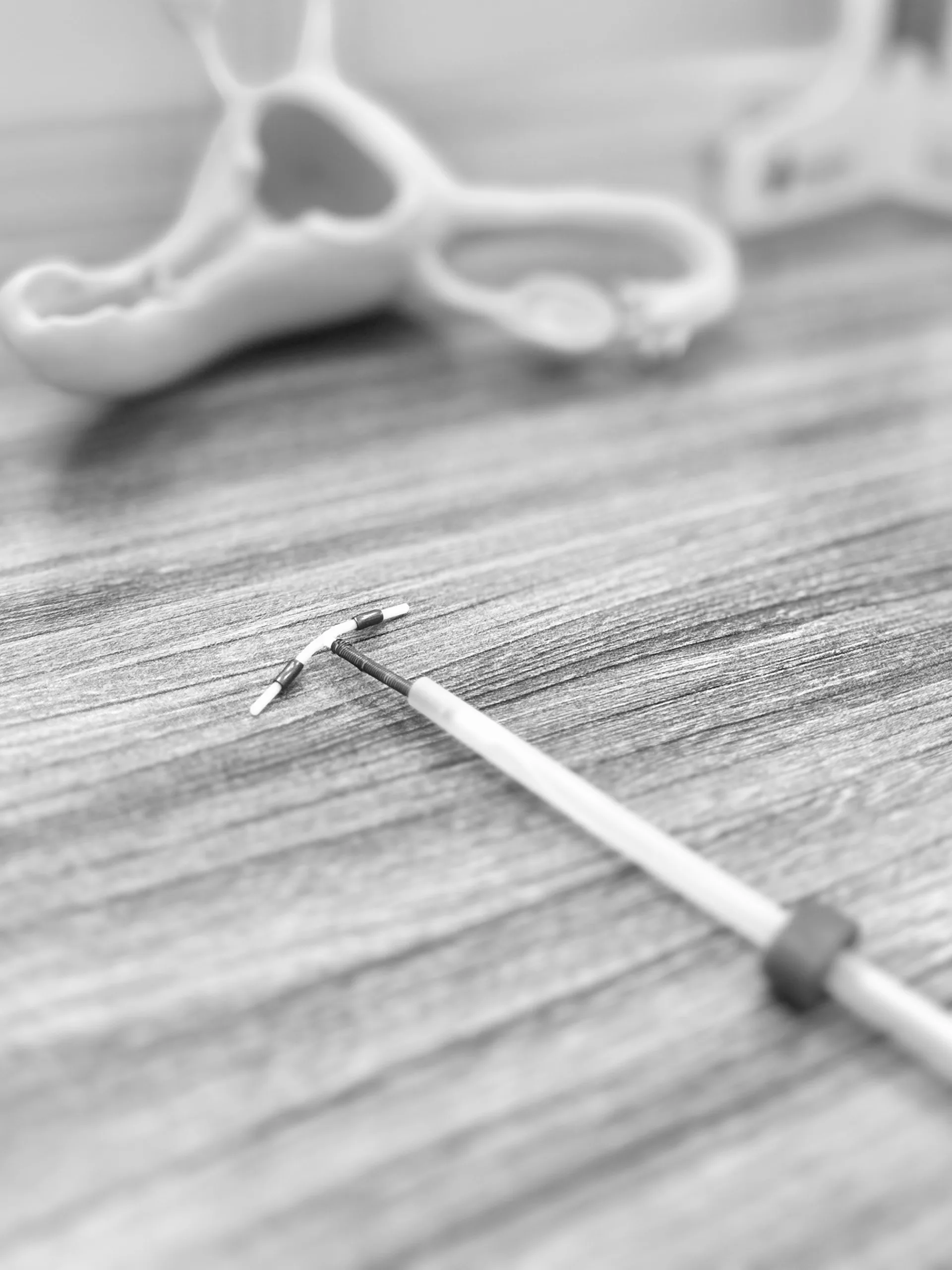 IMG_2367 (1) IMG 2367 (1)