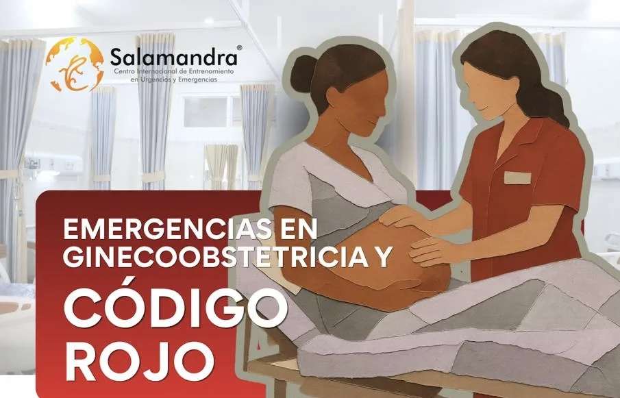 96c2cbd2 2011 4099 aaa5 095f8243e73d (1)